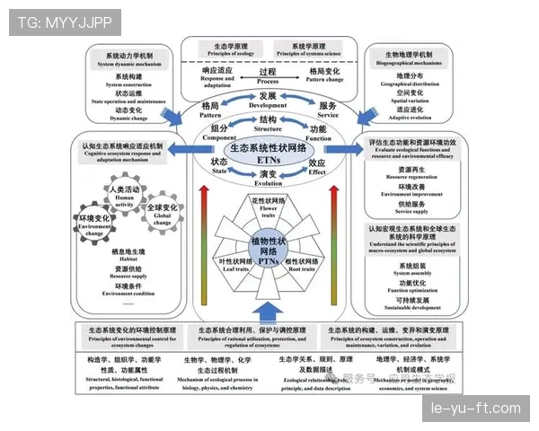 亚特兰大中路渗透效应激发城市规划新思路，推动多维度融合发展