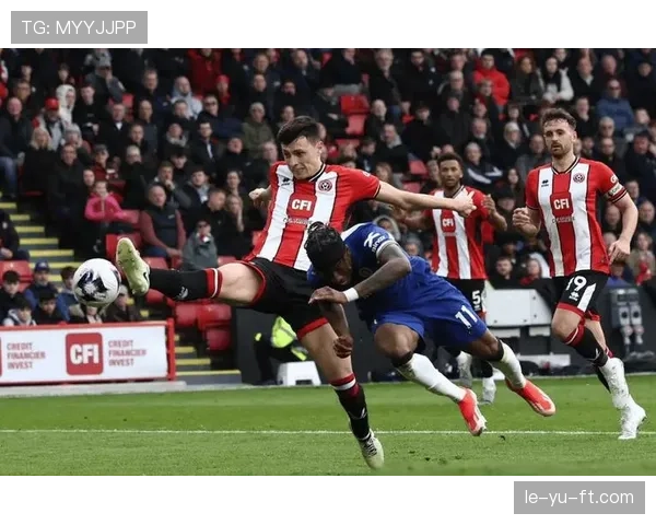 纽卡斯尔联强势崛起，冲击英超前四希望大增