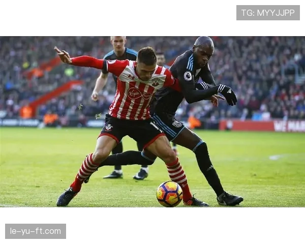 西布朗球迷热情支持球队，助力球队在主场表现稳健