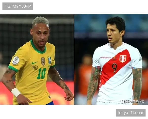 南美足球数据分析